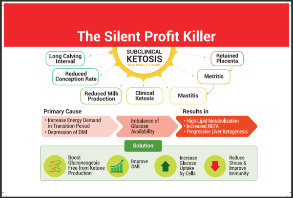 Gluco Gain by Visual Aid - Image 2