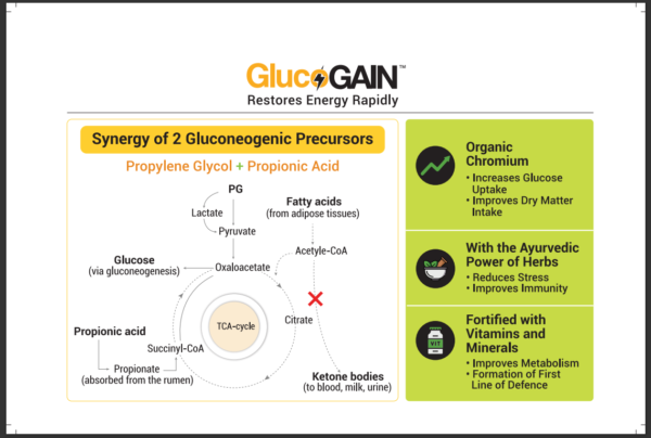 Gluco Gain by Visual Aid - Image 3